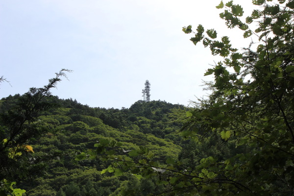 三ツ峠山（開運山）の山頂。電波塔が見えるところが頂上である。