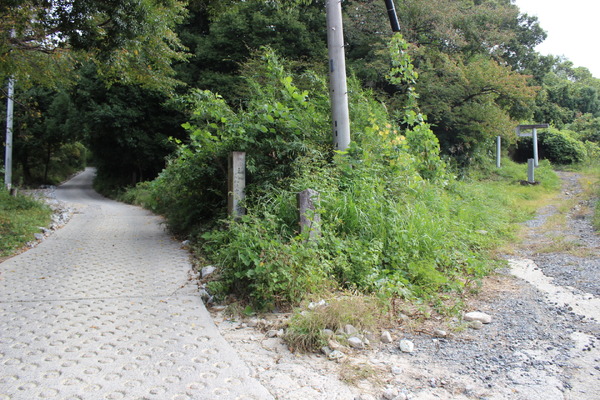 3号目の本宮路と参宮路の分岐点。序盤の参道は舗装路であった。