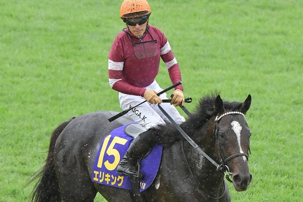 【菊花賞】ジョッキーカメラが捉えた川田将雅の2週連続“ハラハラ”ゲート内　「あー！」で発馬の災難にファン既視感