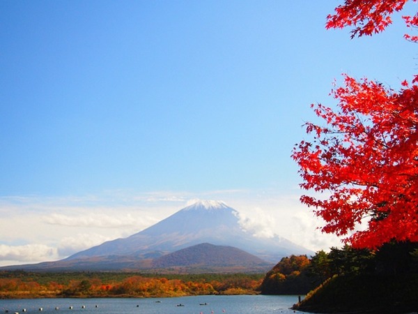 今週の土曜日に紅葉狩りはいかが？　ウェザーニューズ、第三回紅葉見頃予想