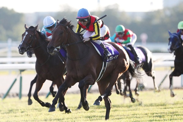 【エリザベス女王杯】ジョッキーカメラに見たレガレイラ・戸崎圭太のブレない映像に、ファン感嘆「ベリベリジョッキー」