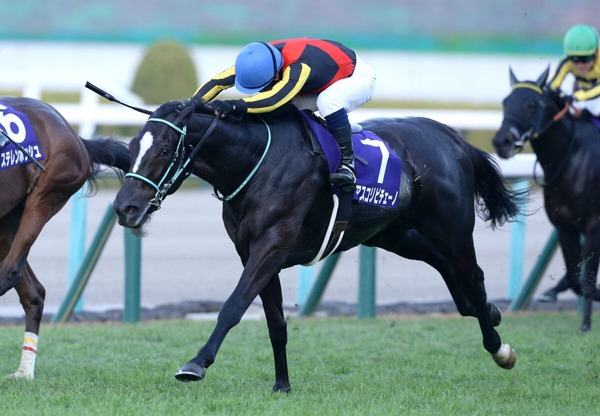 【マイルCS／危険な人気馬】マイルGI馬3強の一角に“黄信号”データ浮上　消しレベルの「1/63と0/4」