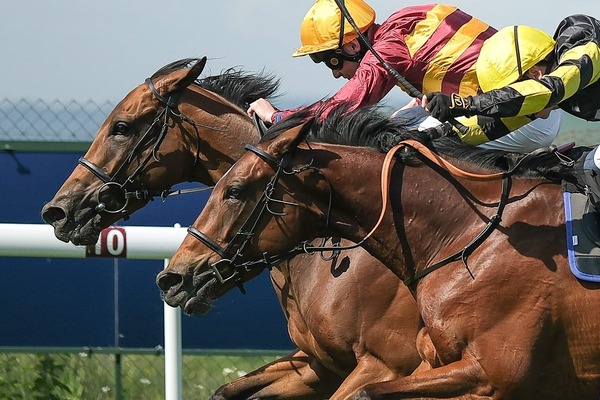 【マイルCS／追い切り診断】ベテラン一角に高評価「A」　スピード感十二分、やる気に満ち溢れ「心身共に劣化した様子は皆無」