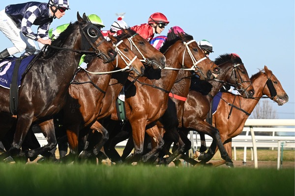 【ジャパンC／複勝回収率】傾向では安定の「逃げ」と「内枠」　過去10年データから馬券予想のヒントと好走条件を探る