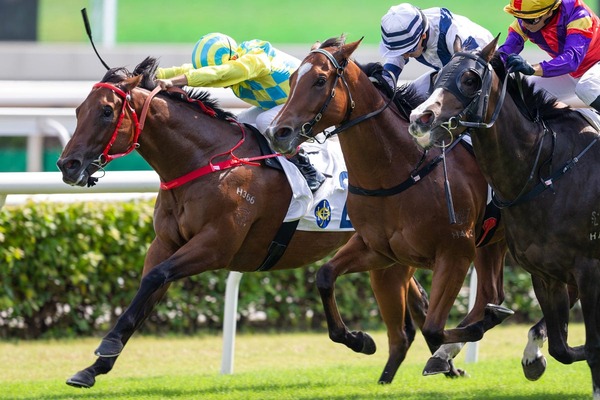 【有馬記念／追い切り診断】仕上がり抜かりなし「A」の高評価　“自己ベスト叩き出す”スタミナ強化のメニューで不安払拭