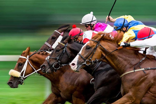 【中山記念／全頭診断】前走GI組なら断然セイウンハーデス　“3着穴”妙味は前走馬券外の7歳馬