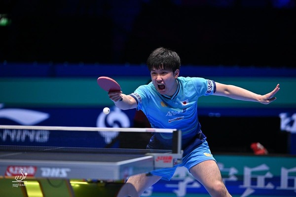 張本智和が王楚欽、モーレゴードに続く3位に復帰　松島輝空が8位でトップ10キープ　戸上隼輔は18位｜卓球男子世界ランキング（2026年第17週）