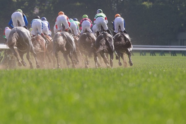 【オークス／馬場情報】直線は馬場の内目に痛みが目立つ土曜東京芝　内枠連対なしで狙いは外枠か