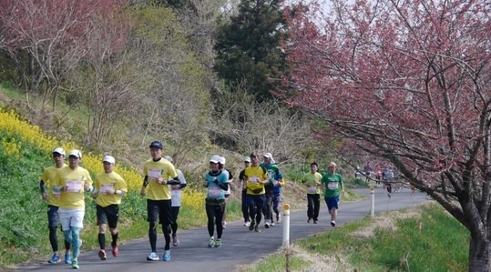 東北風土マラソン2014の様子