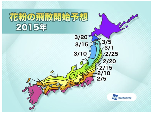 2015年のスギ・ヒノキ花粉飛散は非常に多く、関東を中心に平年の2～3倍