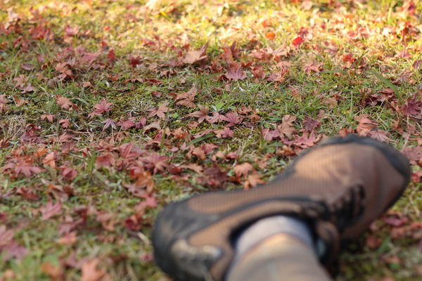 紅葉狩りへ晩秋ライド、薩摩のユイの壁に遭遇