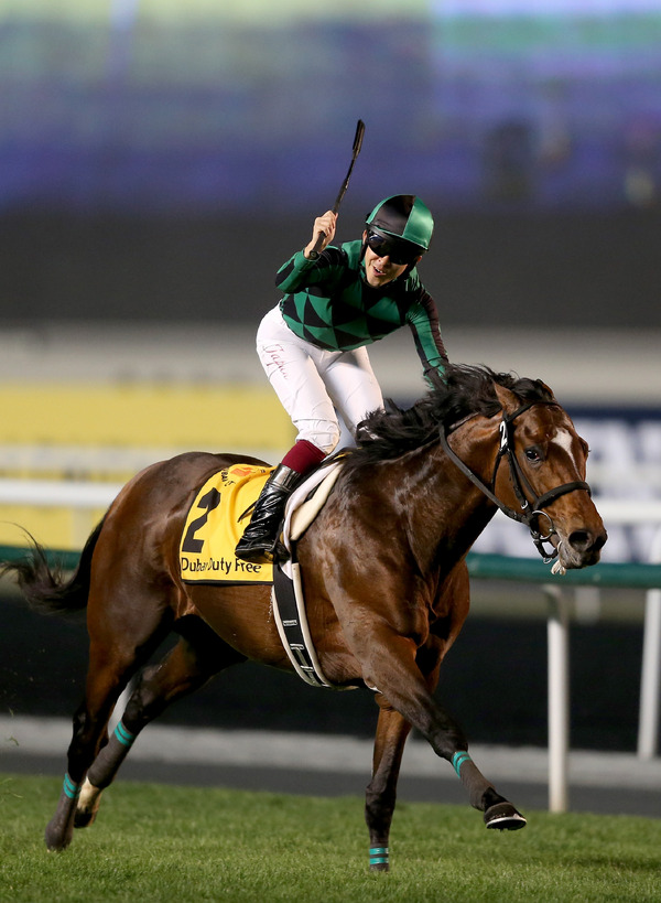 ジャスタウェイ 参考画像（2014年3月29日）（c）Getty Images