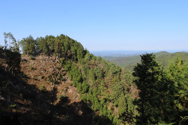 焼森山山頂の姿。伐採跡が痛々しいが、計画的な伐採は山や森を元気にしてくれている。