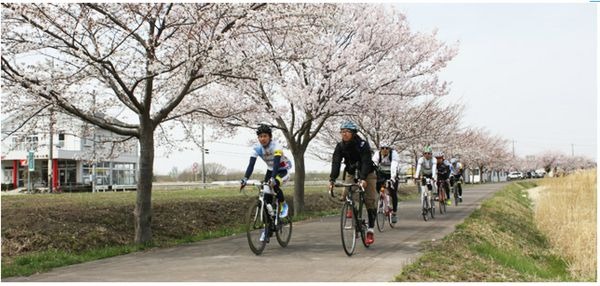 国際興業トラベルが運行する「サイクリングバスツアー」は景色のよい場所だけサイクリングを楽しむことで人気だが、「茨城県・早春・霞ヶ浦＆つくばりんりんコース」がリニューアルされ、3月8日(土)、3月29日(土)、4月5日(土)に催行されることになった。バスで移動する