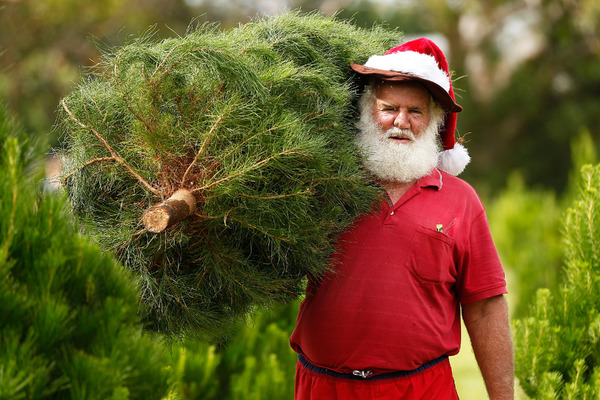 オーストラリア、シドニーのクリスマス（c）Getty Images