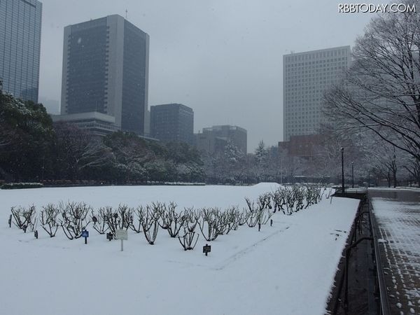 東日本と西日本は14日から15日にかけて広い範囲で雪が降り、太平洋側の山地を中心に平野部でも大雪となる見込みだ。首都圏の交通、帰宅の足に影響が出始めている。JR東日本は、すでに下りの通勤ライナーの多くを運休すると発表している。