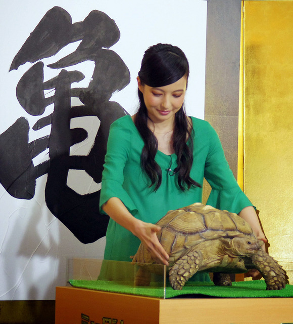 ベッキー＆飼い亀のガラパゴス君／『ミュータント・タートルズ』ヒット祈願 in 亀戸天神