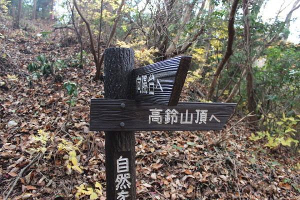 不安に思いながらも先へ進む。それでも看板に神峰山の文字はなく……。