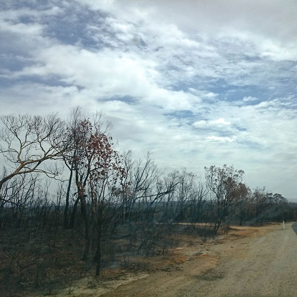 Bushfire Adelaide hills