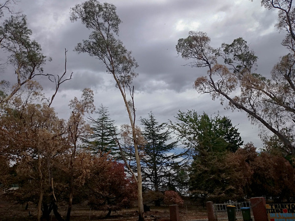 Bushfire Adelaide hills