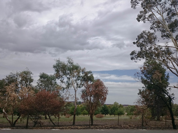 Bushfire Adelaide hills