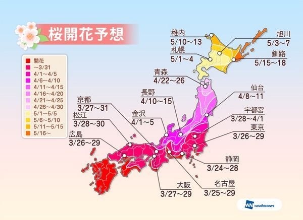 ウェザーニューズは、桜シーズン到来に向けて、桜の名所や公園などを対象とした桜の開花予想を発表した。