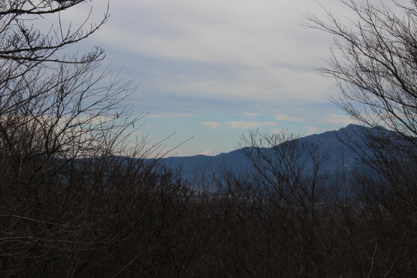 写真中央にうっすらとだが富士山が見える。冬のよく晴れた午前中には、富士山が姿を見せてくれることが多い。写真右側に見えるのは筑波山。