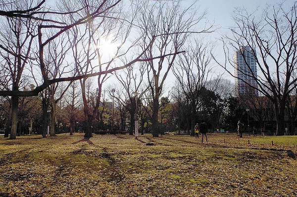 都会のオアシス、伸縮中央公園で新宿バイシクルフェスタ2015」が3月21日から2日間開催（画像＝新宿中央公園公式サイト）