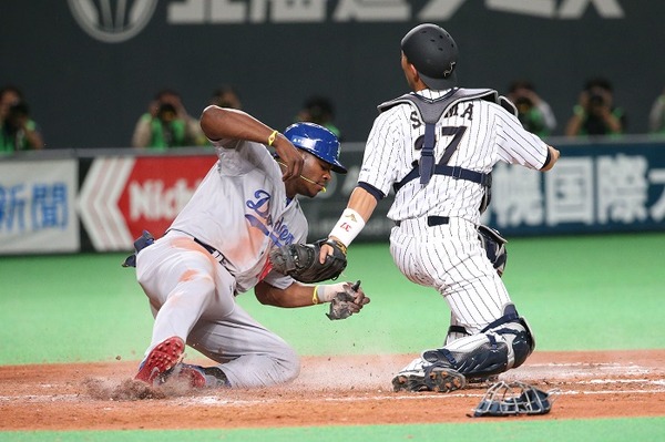 侍ジャパンでもマスクをかぶった嶋基宏 参考画像 (2014年11月18日） (c) Getty Images