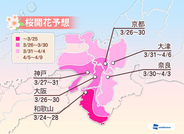 西・東日本は例年並～やや遅めの開花　ウェザーニューズ、2015年 第三回桜開花予想