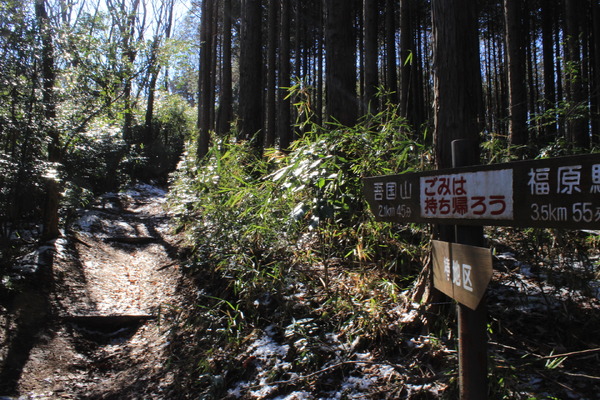 登山道1。始めはところどころに雪がある程度だが。