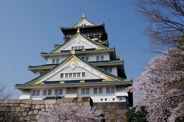 「大坂冬の陣・夏の陣」から400年となる大阪城の桜がほぼ満開へ