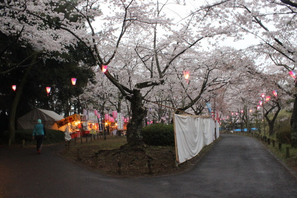 花見酒はできなくとも、せめて露店で何か買って食べようと思うが、財布を車に忘れ…。虚しさが増す。