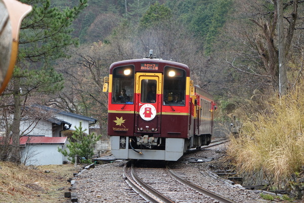 足尾駅の先で対面したのは、窓ガラスのない車両を連結したトロッコわっしー号