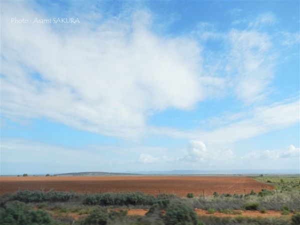 オーストラリアの風景