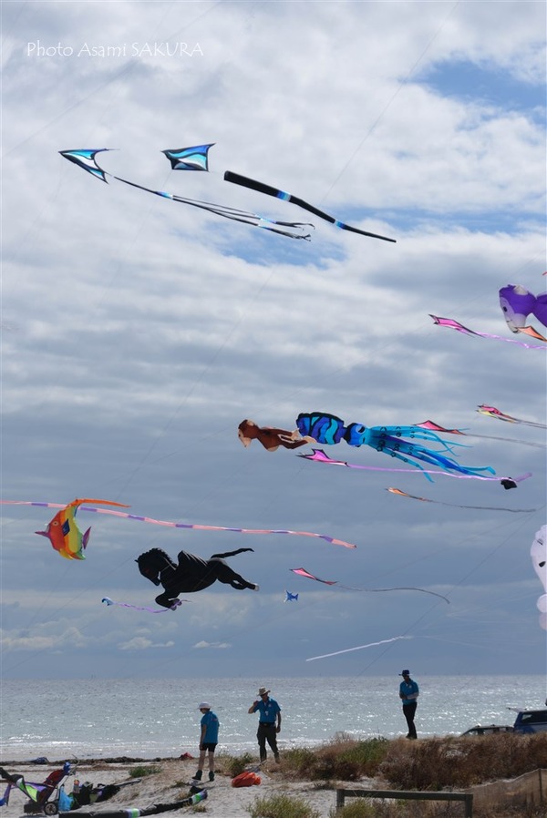 Kiteフェスティバル