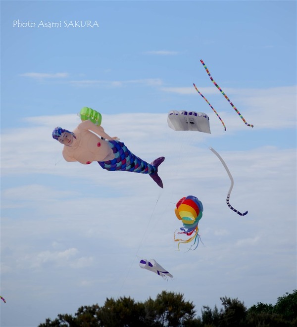 Kiteフェスティバル