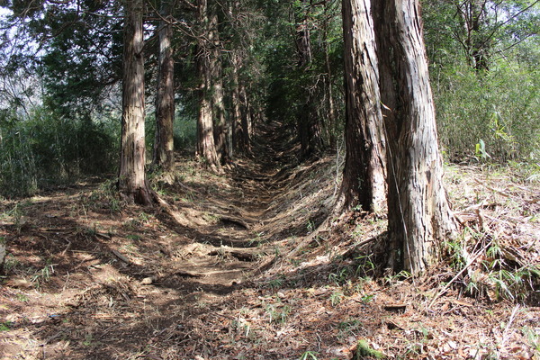 写真ではわかりにくいが、なかなか厳しい登りだ。写真左には少々ゆるやかな道もあるので、自信のない方はそちらを。