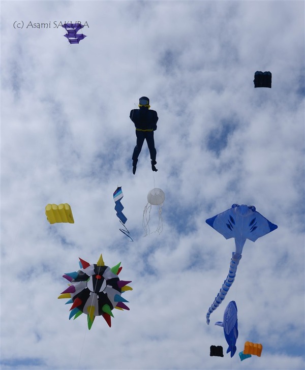 Kite internationa festival