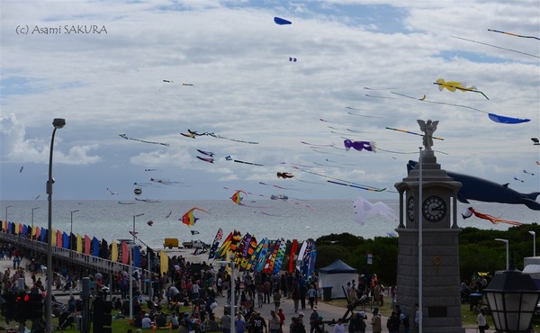 Kite internationa festival