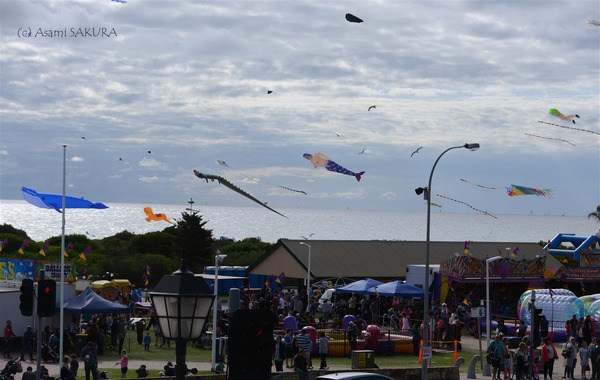 Kite internationa festival