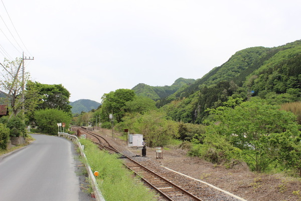 駅の近くから見た熊野山？けっきょく山容がわからず終い。