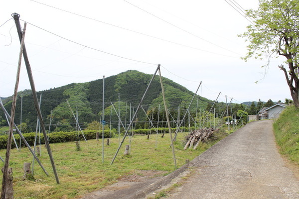 のどかな里山風景。歩いているだけで、心が癒される。ストレス社会に生きる皆様、ぜひとも奥久慈に。