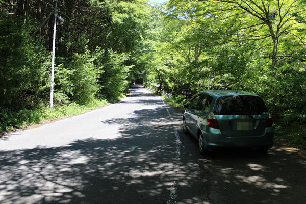 道路には、ところどころに駐車スポットがある。そこへ車を停めて、渓谷の風景を眺めることができる。