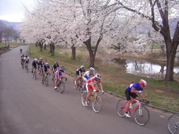 　日本学生自転車競技連盟の主催する「全日本学生ロードレースカップ」の2008年度第1戦となる「菜の花飯山ラウンド」が4月19・20日に長野県飯山市で開催される。昨年、飯山市で初の自転車競技大会として開催された同ラウンド。今年は1日目が信濃平スキー場周辺でのヒル