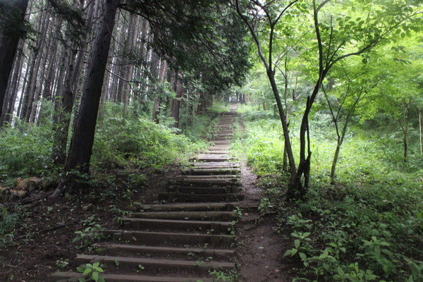 15:24　次第に雨足が強くなる。長い登りの階段にうんざり。