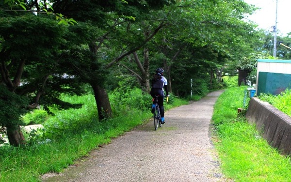 3月末～4月上旬にかけて行われる井出町桜まつりの開催地、玉川堤