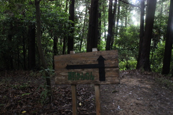 13時半に御嶽山を登り始めてから、2時間半。雨引観音への分岐で、16時を知らせる鐘の音が聞こえてきた。