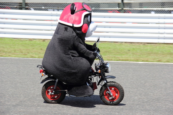 鈴鹿8耐の応援に登場したくまモン