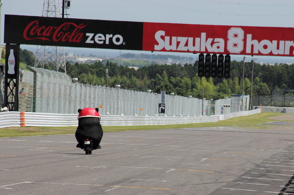 鈴鹿8耐の応援に登場したくまモン